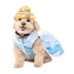 Rubie’s Disfraz para Perro Cenicienta