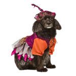 Rubie’s Disfraz para Perro Hocus Pocus Mary