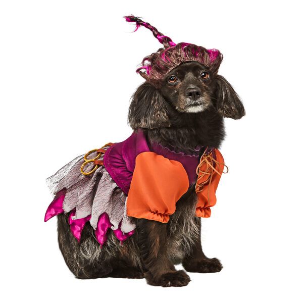 Rubie’s Disfraz para Perro Hocus Pocus Mary