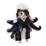 Rubie’s Disfraz para Perro Ursula