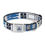 Buckle Down Collar para Perro Star Wars R2-D2 Bounding Parts
