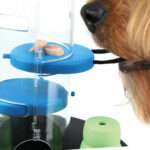 Trixie Juguete Interactivo para Perro Gambling Tower Lv. 1 - Imagen 7