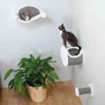 Trixie Hamaca para Gato Wall Mounting - Imagen 3
