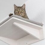Trixie Plataforma para Gatos Climbing Landscape - Imagen 2