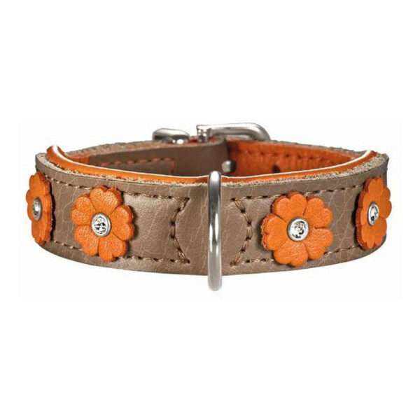 Hunter Collar para Perro Daisy