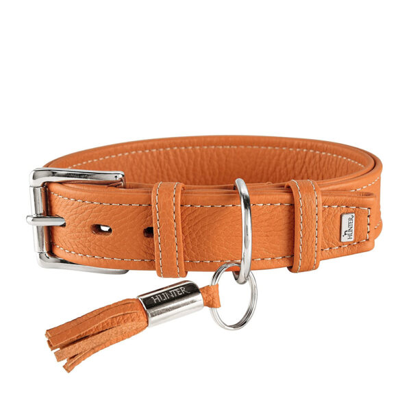 Hunter Collar para Perro Cannes