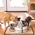 Petsafe Fuente de Agua Drinkwell Steel 3.8 L - Imagen 3