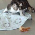 Petlinks Juguete para Gato Mistery Motion - Imagen 3