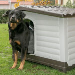 Ferplast Casa para Perro Dogvilla 70 - Imagen 4