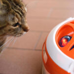 Ferplast Juguete para Gato Tornado Carousel - Imagen 3