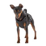 Ferplast Arnes para Perro Ergotrekking - Imagen 2