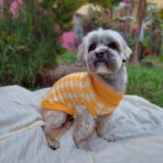 Farm Company Sueter para Perro Houndstooth Turtleneck - Imagen 8