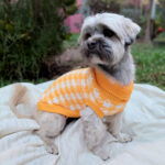 Farm Company Sueter para Perro Houndstooth Turtleneck - Imagen 3