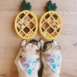 ZippyPaws Bowl para Perro Ansioso Happy Bowls Pineapple - Imagen 4