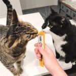 Churu Snack para Gato Pollo 4 unid. - Imagen 2