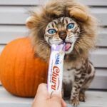 Churu Snack para Gato Pollo con Camar?n 4 unid. - Imagen 2