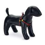 Beeztees Arnes para Perro Scribbles