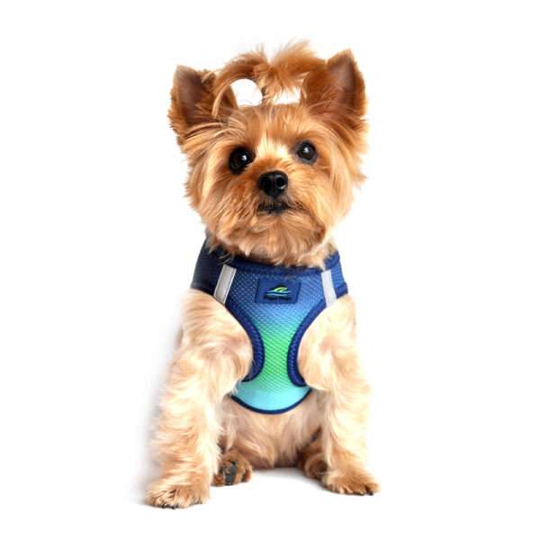 Doggie Design Arnes para Perro American River Northern Lights