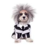 Rubie’s Disfraz de Perro Beetlejuice
