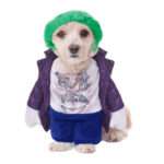 Rubie's Disfraz para Perro Joker
