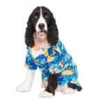 Rubie's Disfraz para Perro Luau