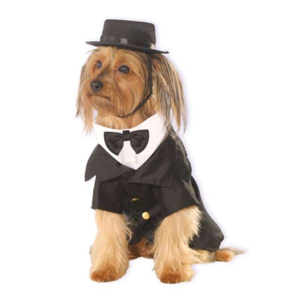 Rubie's Disfraz para Perro Dapper