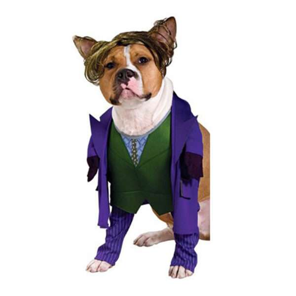 Rubie's Disfraz para Perro Walking Wason
