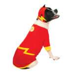 Rubie's Disfraz para Perro Flash