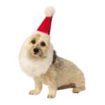 Rubie's Gorro Santa Barba